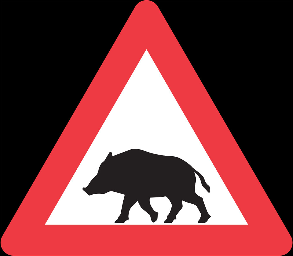 f&aelig;dselstavler